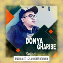 دانلود آهنگ جدید سجاد به نام دنیا غریبه